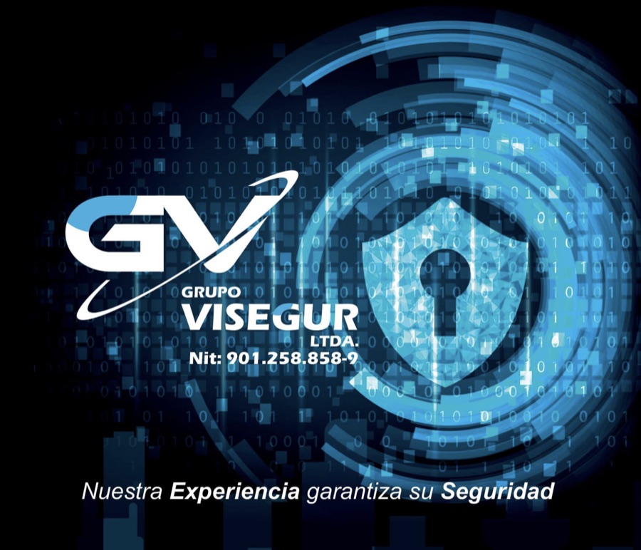 Grupo Visegur Ltda.